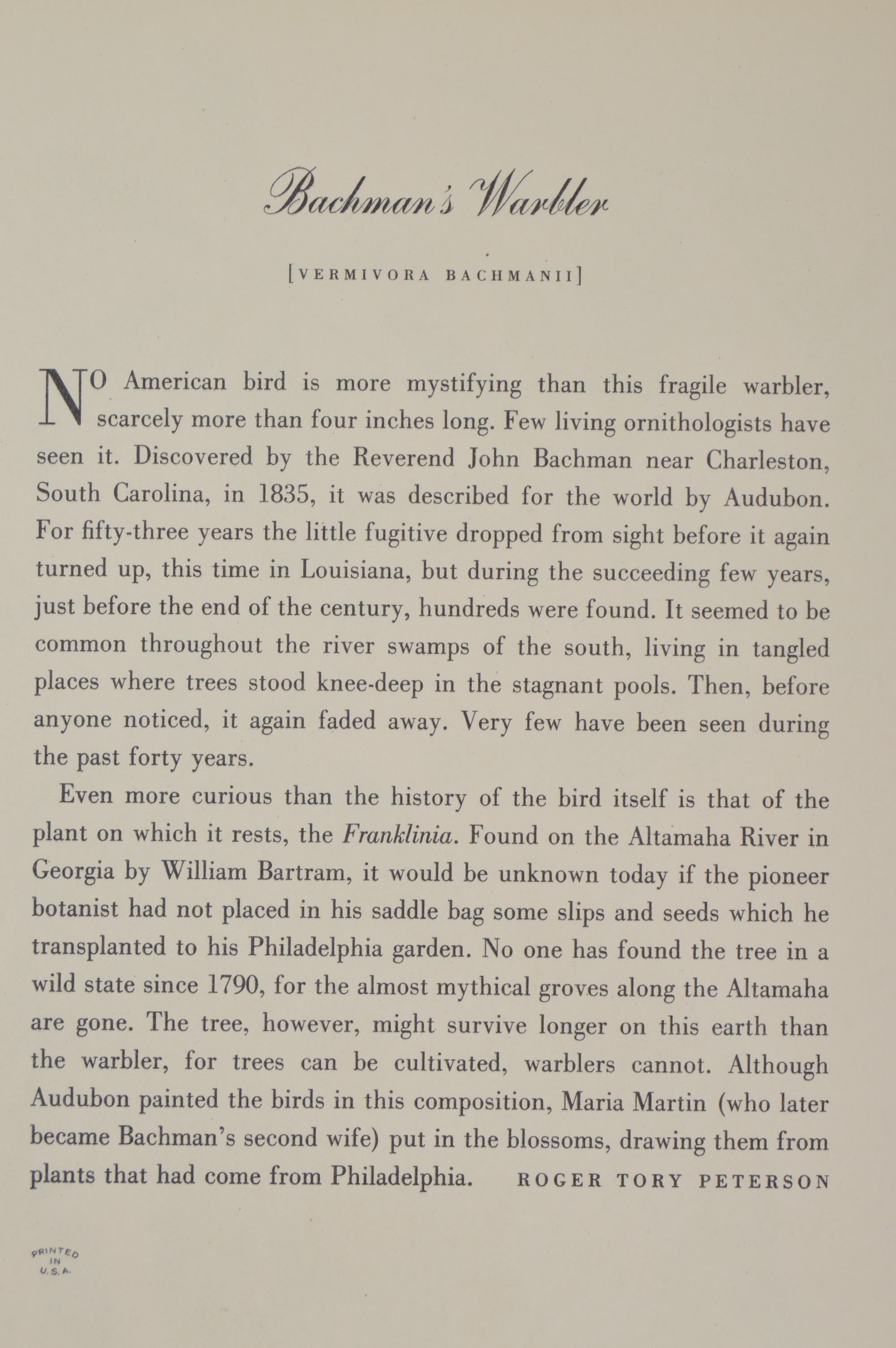 Audubon "Birds of America" Offset Lithograph Art Collection