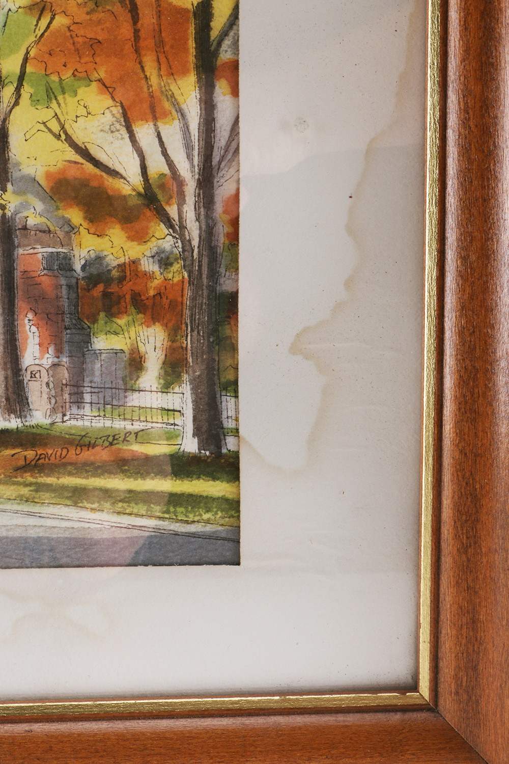 David Gilbert Original Watercolors