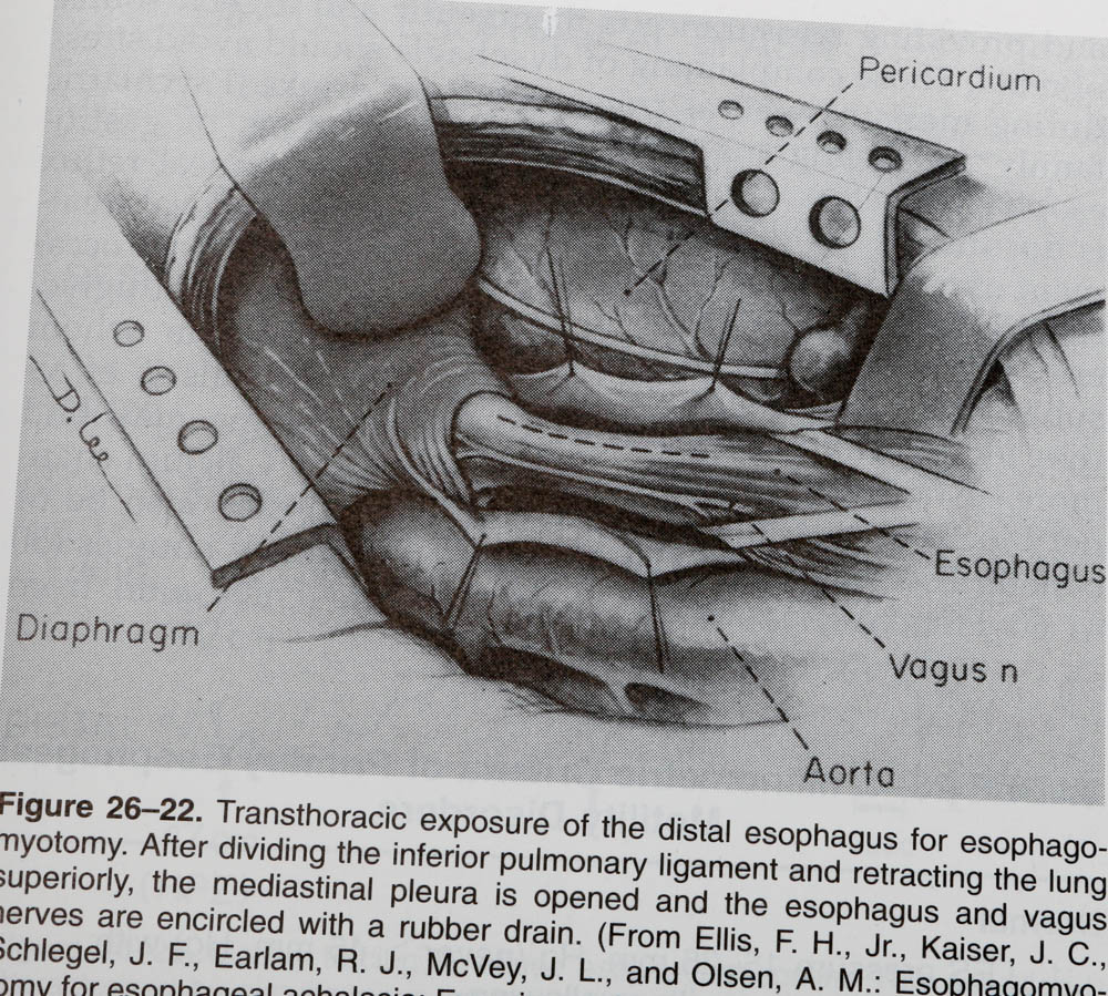 Copy of "The Biological Basis of Modern Surgical Practice"