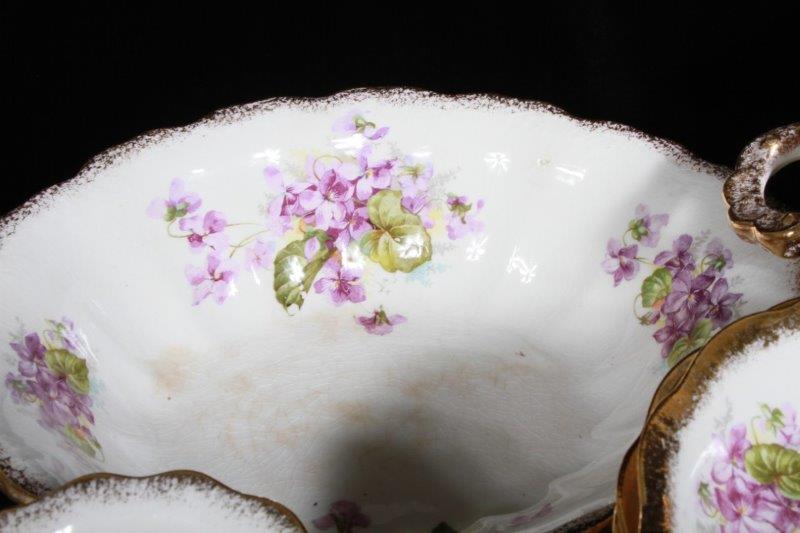 Dresden Semi-Porcelain China