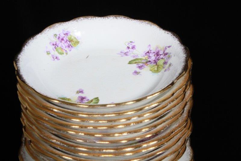 Dresden Semi-Porcelain China