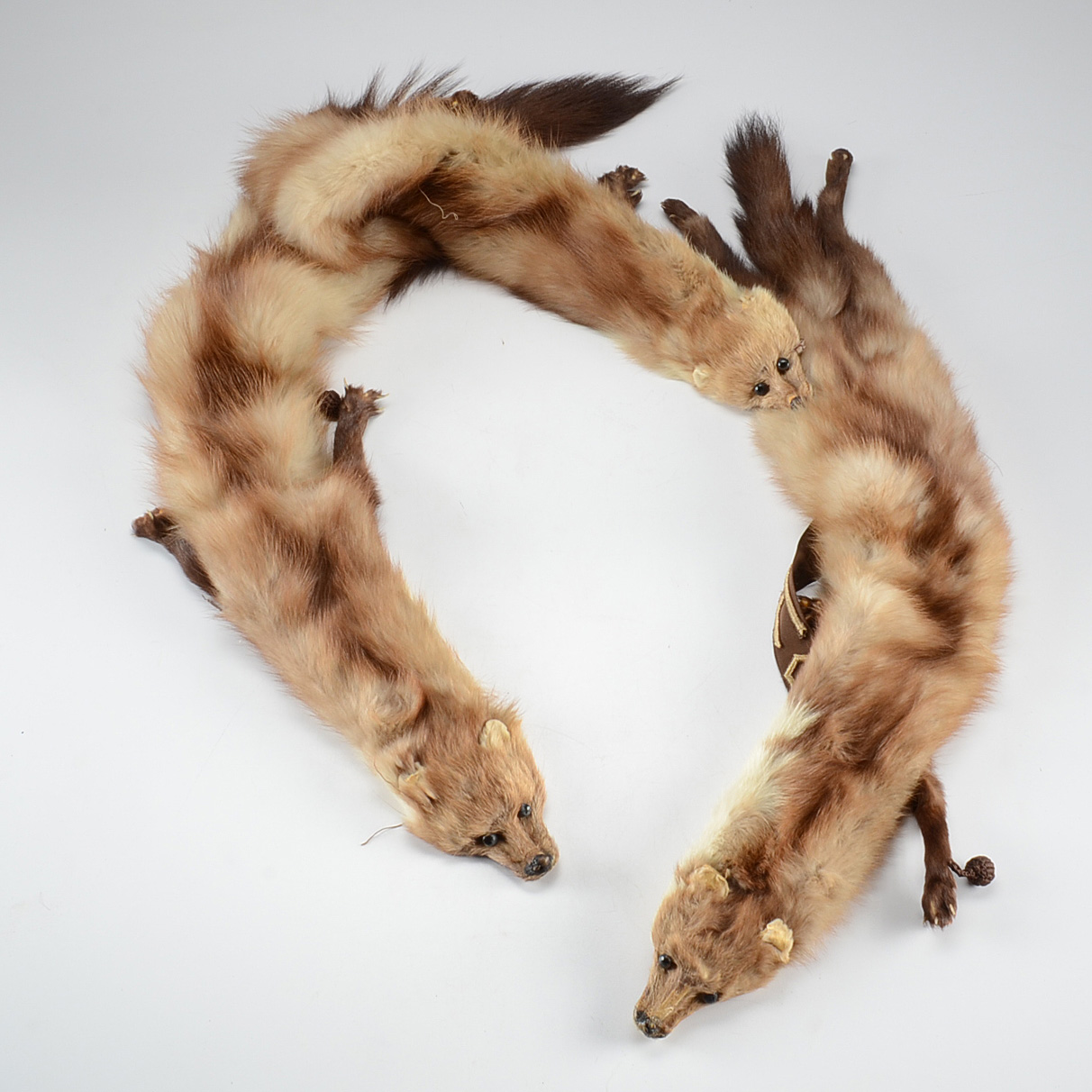 1950s Vintage Jenny of Cincinnati Marten Fur Stole