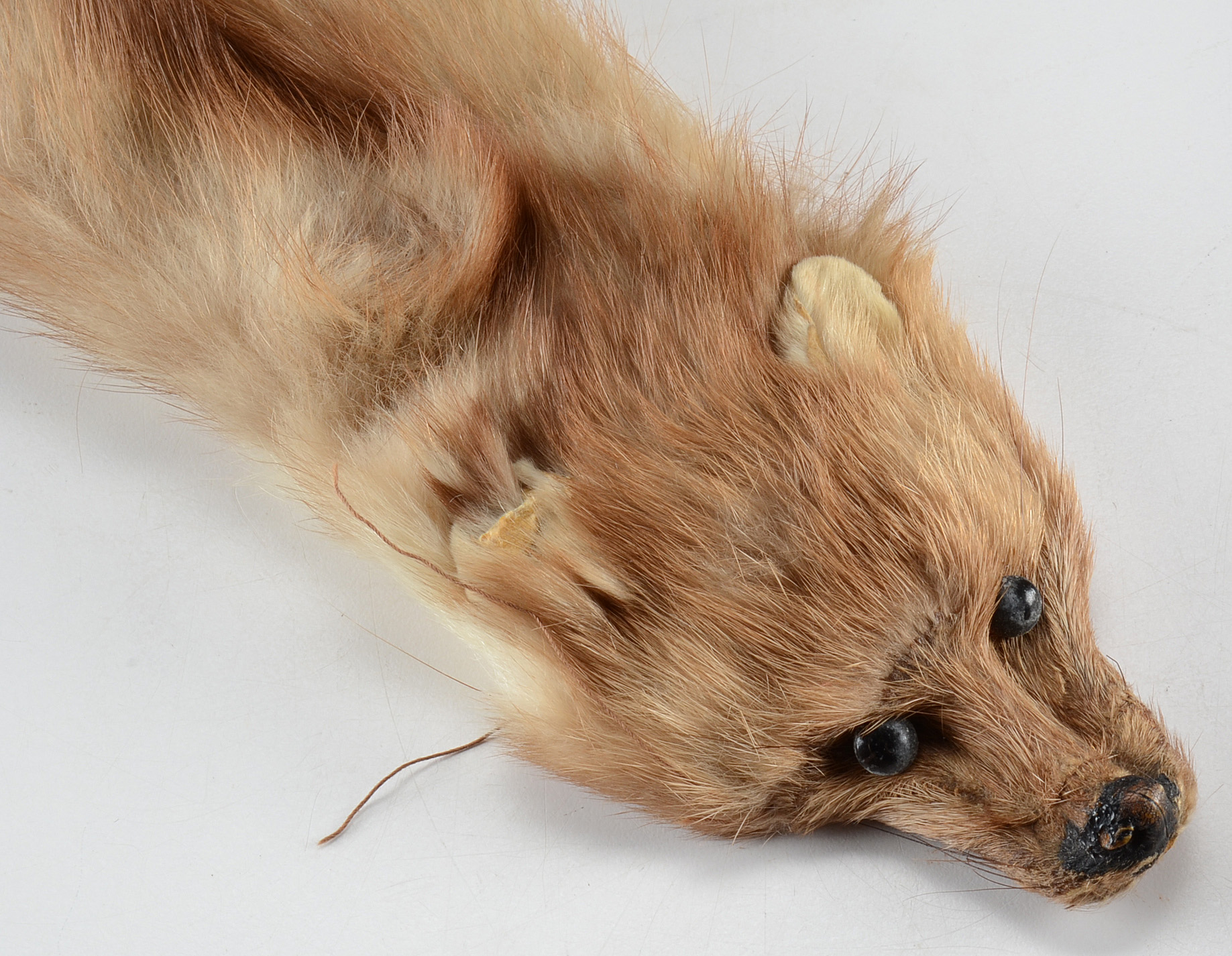 1950s Vintage Jenny of Cincinnati Marten Fur Stole