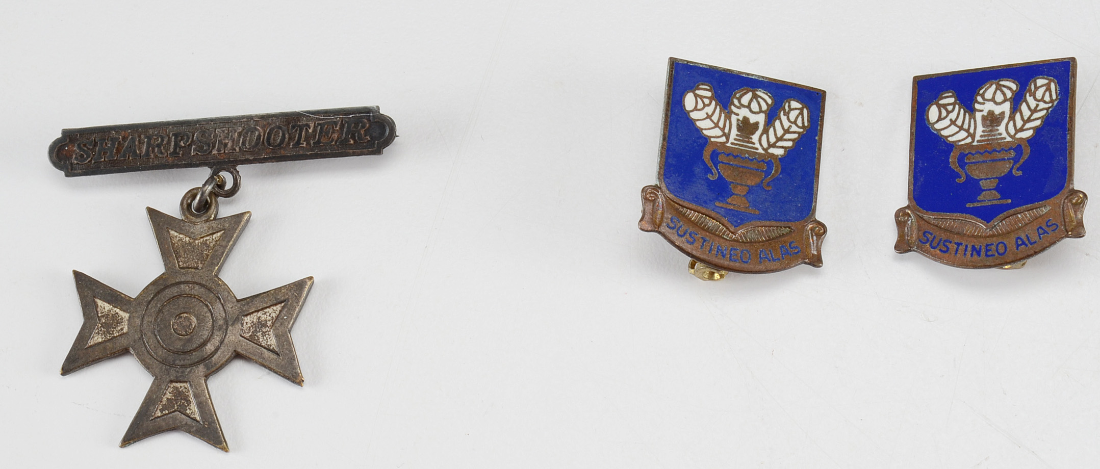 Collection of WWII American Military Pins and Badges