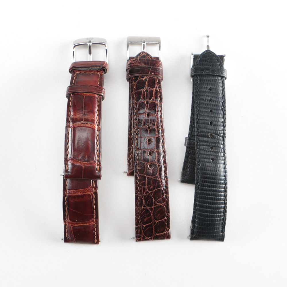 Collection of Watch Bands Including Michele