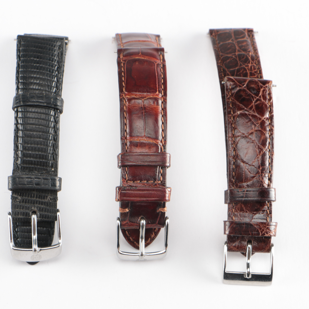 Collection of Watch Bands Including Michele