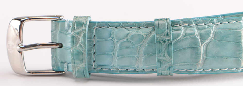 Collection of Michele Watch Bands