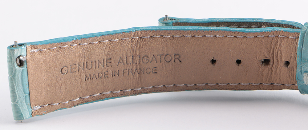 Collection of Michele Watch Bands