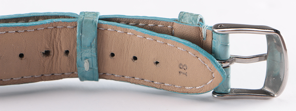 Collection of Michele Watch Bands