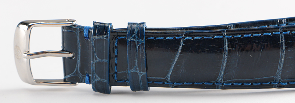 Collection of Michele Watch Bands