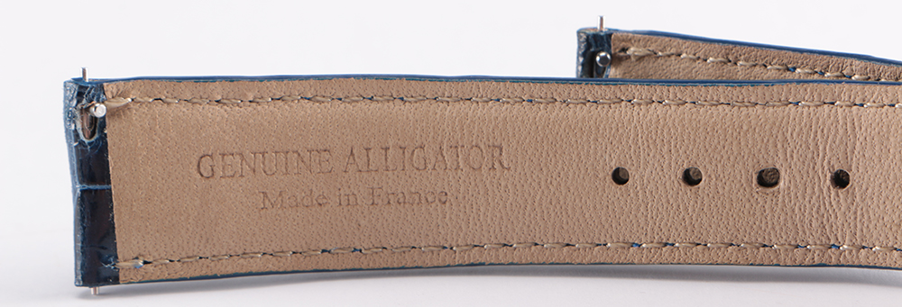 Collection of Michele Watch Bands