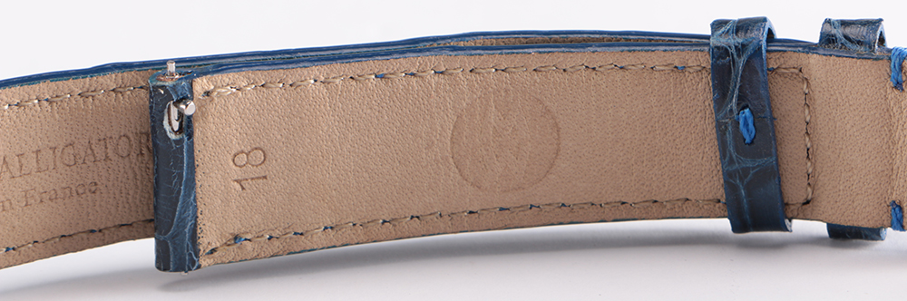 Collection of Michele Watch Bands