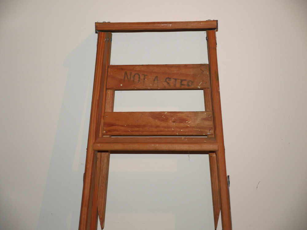 Wooden Ladder and Metal Step Stool