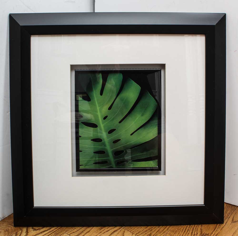 Trio of Decorative Flora Themed Prints