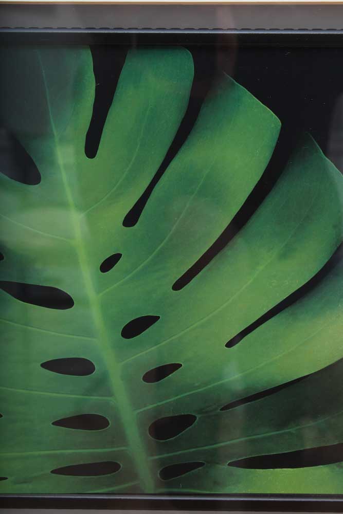 Trio of Decorative Flora Themed Prints