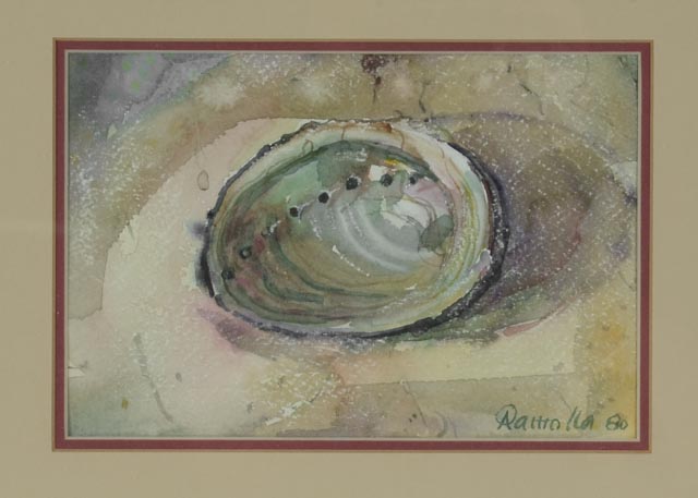 Signed Original Watercolor Painting of Abalone Shell