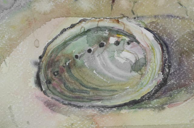 Signed Original Watercolor Painting of Abalone Shell