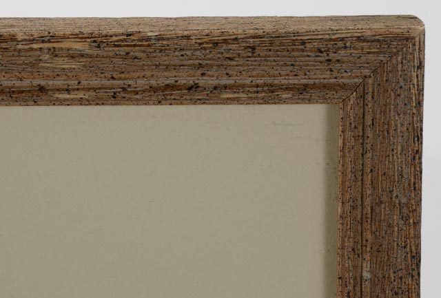 Signed Original Watercolor Painting of Abalone Shell