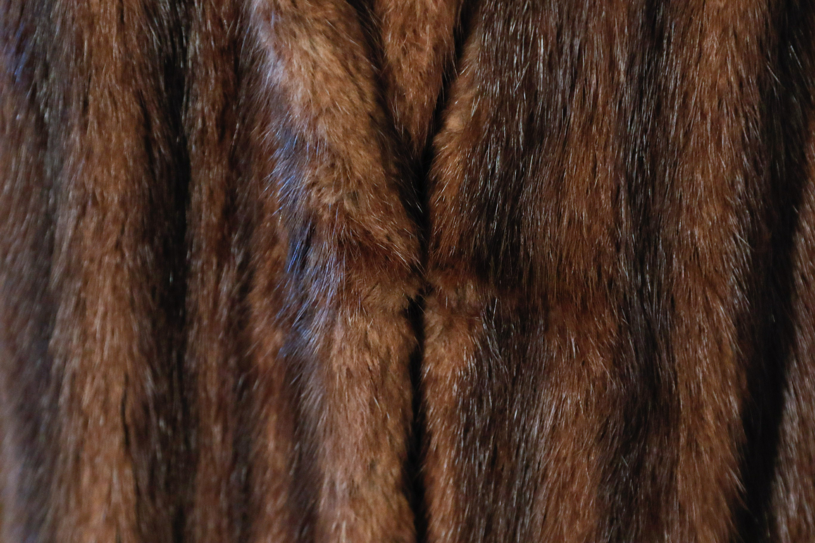 Women's Shillito's Marmot Fur Coat