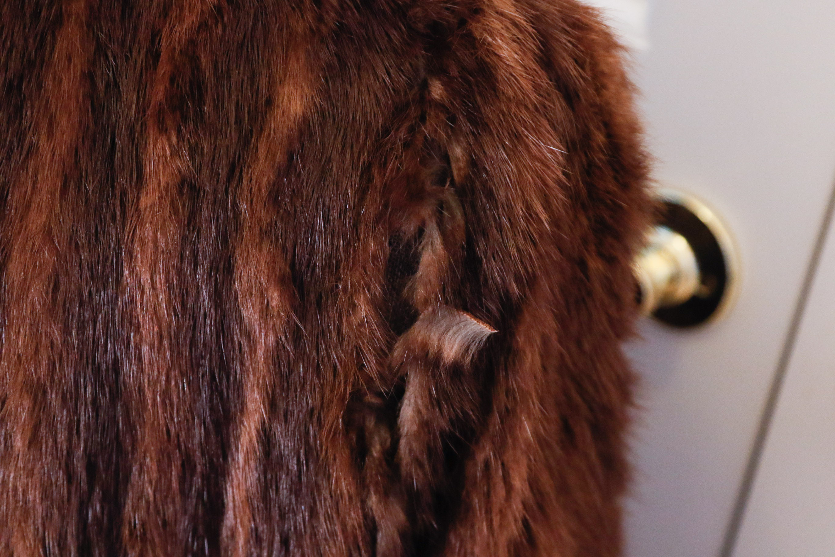 Women's Shillito's Marmot Fur Coat