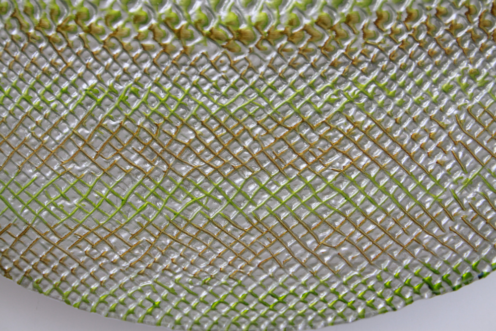 Vietri & IVV Italian Glass