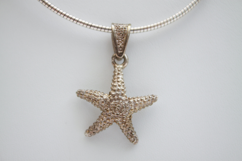 Starfish and Shell Sterling Silver Pendants and Chain