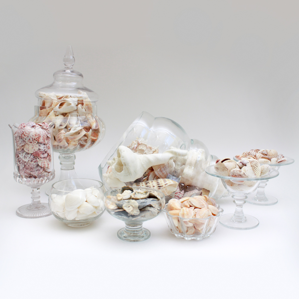 Apothecary Jar & Dishes Filled with Shells