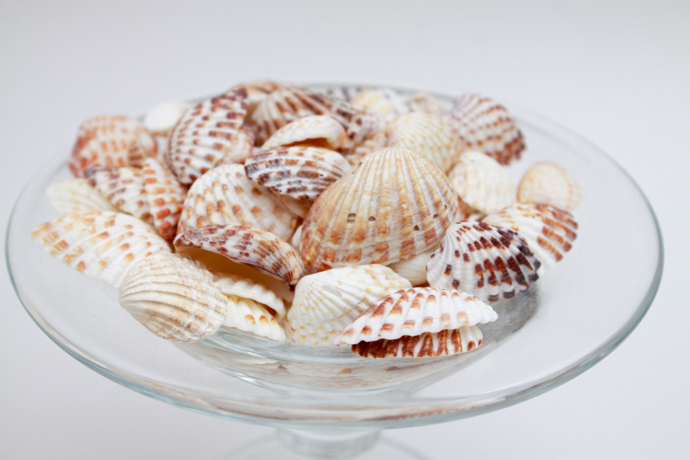 Apothecary Jar & Dishes Filled with Shells