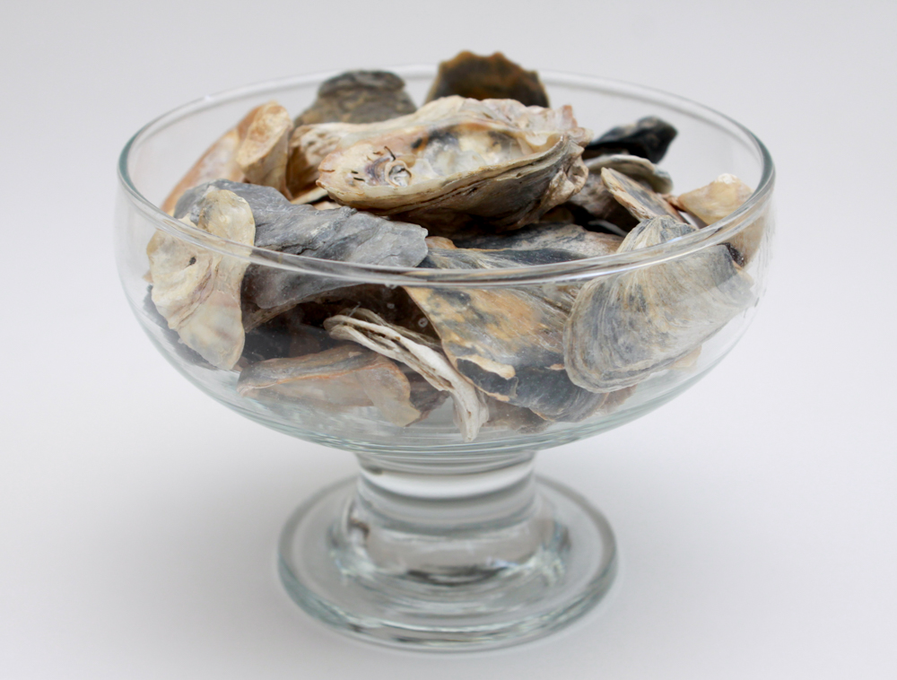 Apothecary Jar & Dishes Filled with Shells