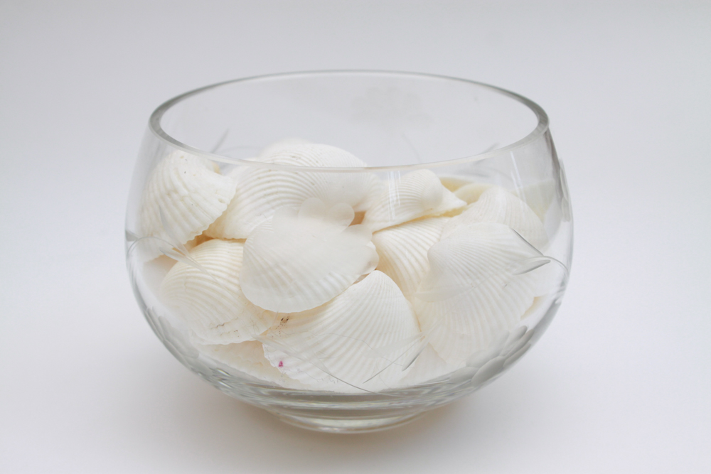 Apothecary Jar & Dishes Filled with Shells