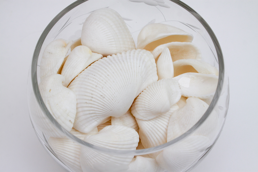Apothecary Jar & Dishes Filled with Shells