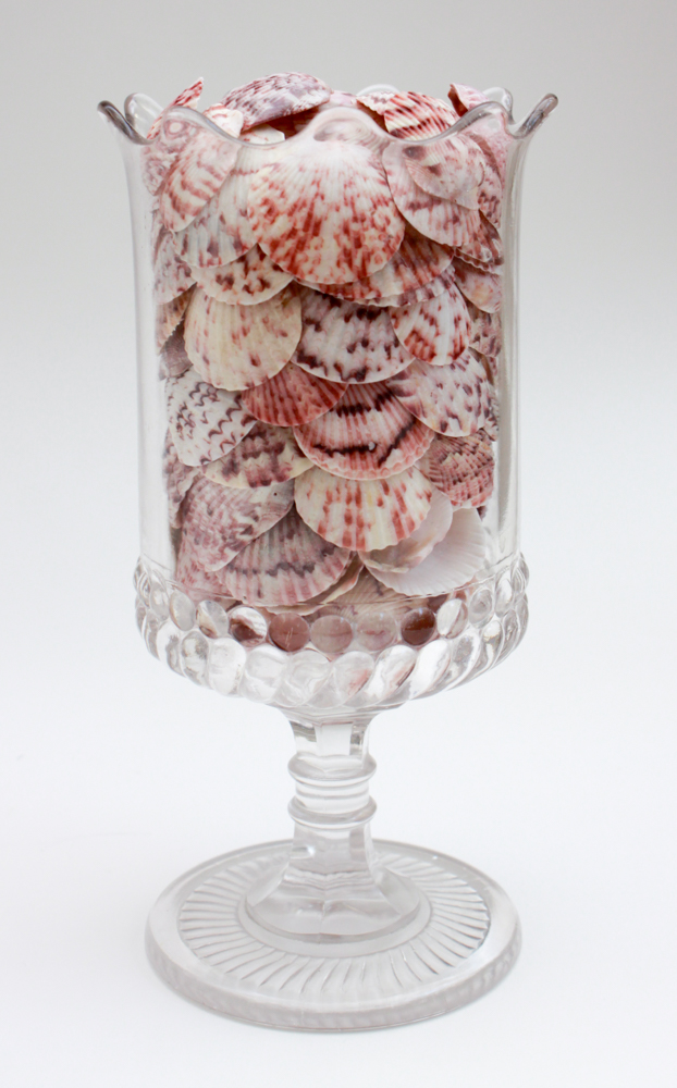 Apothecary Jar & Dishes Filled with Shells