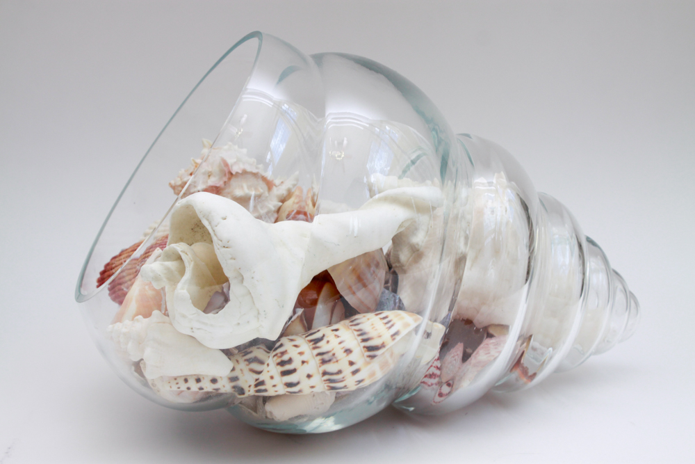 Apothecary Jar & Dishes Filled with Shells