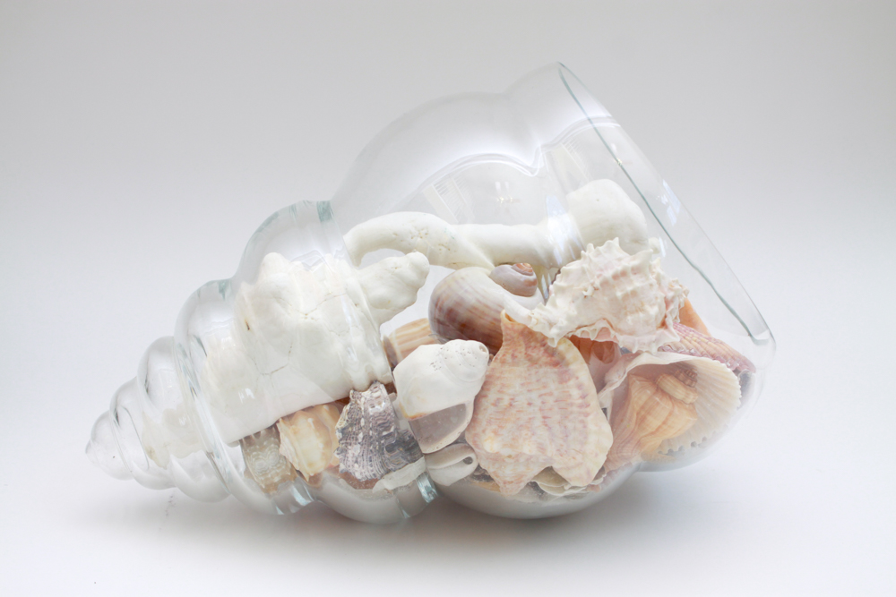 Apothecary Jar & Dishes Filled with Shells