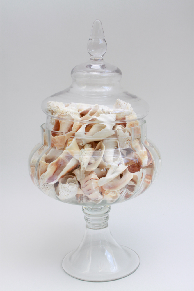 Apothecary Jar & Dishes Filled with Shells