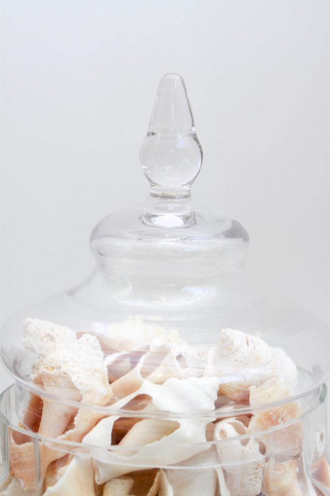 Apothecary Jar & Dishes Filled with Shells