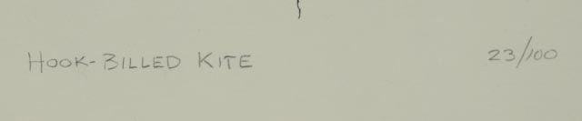 Norm Walker Signed Limited Edition Lithograph "Hook-billed Kite"