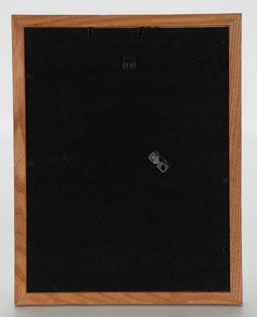 Norm Walker Signed Limited Edition Lithograph "Hook-billed Kite"