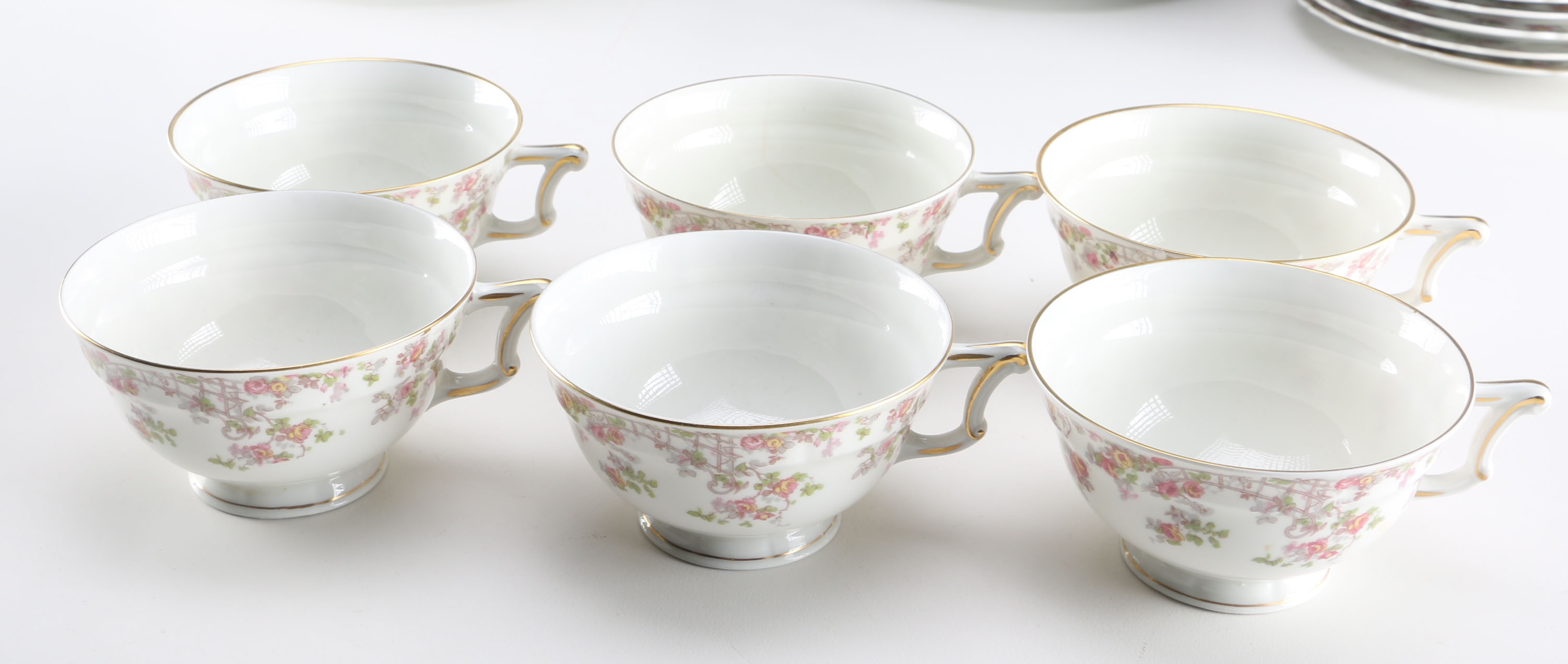 Haviland Limoges "Trellis" Tableware Set