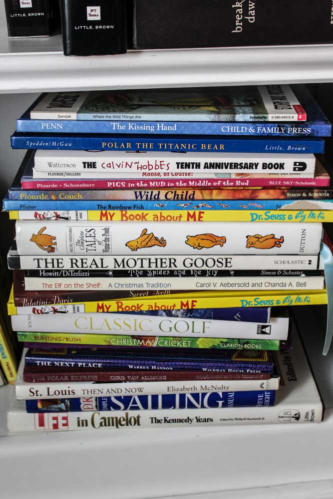 Collection of Fiction and Non-Fiction Books