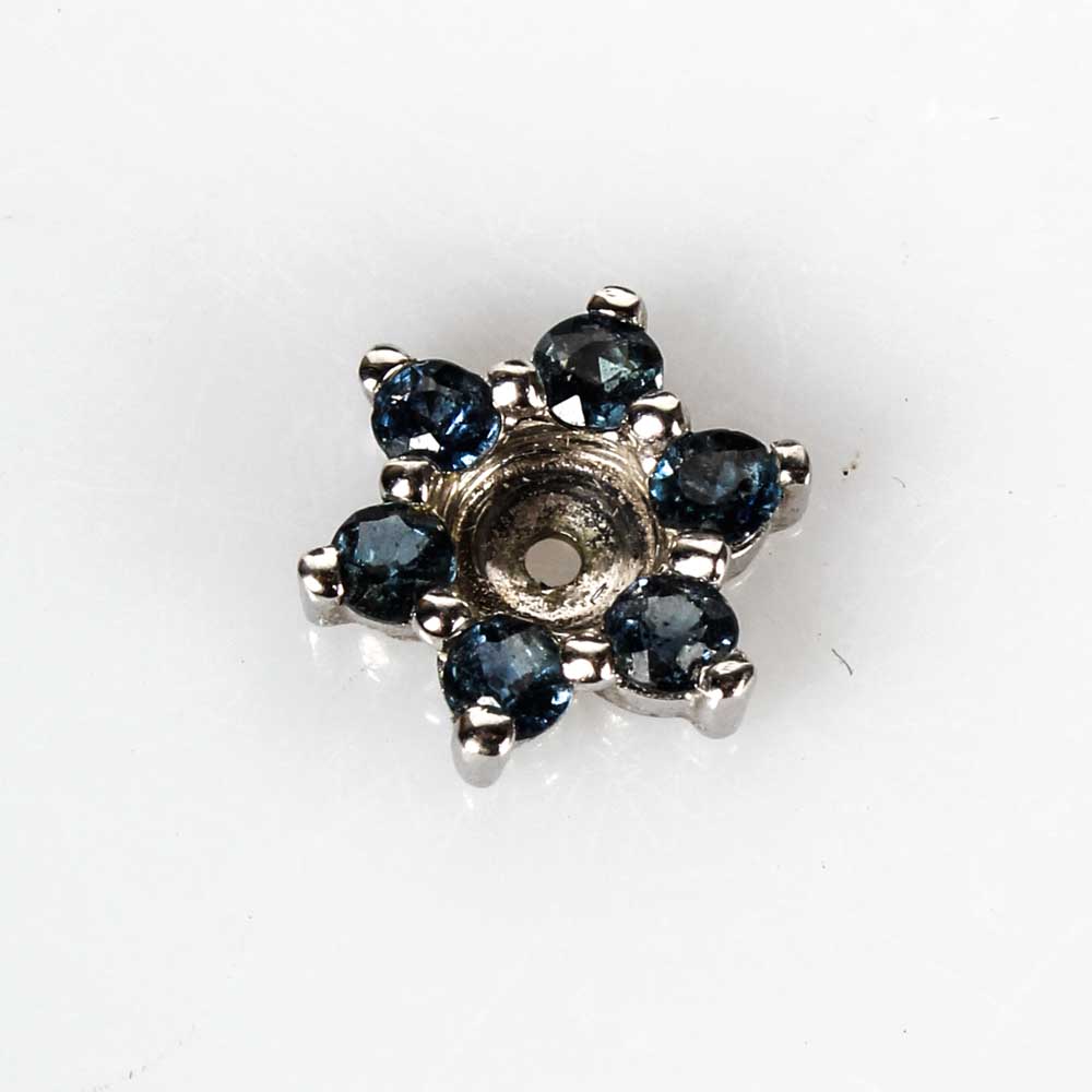 Pair of 14K White Gold 0.65 CTW Sapphire Earring Jackets