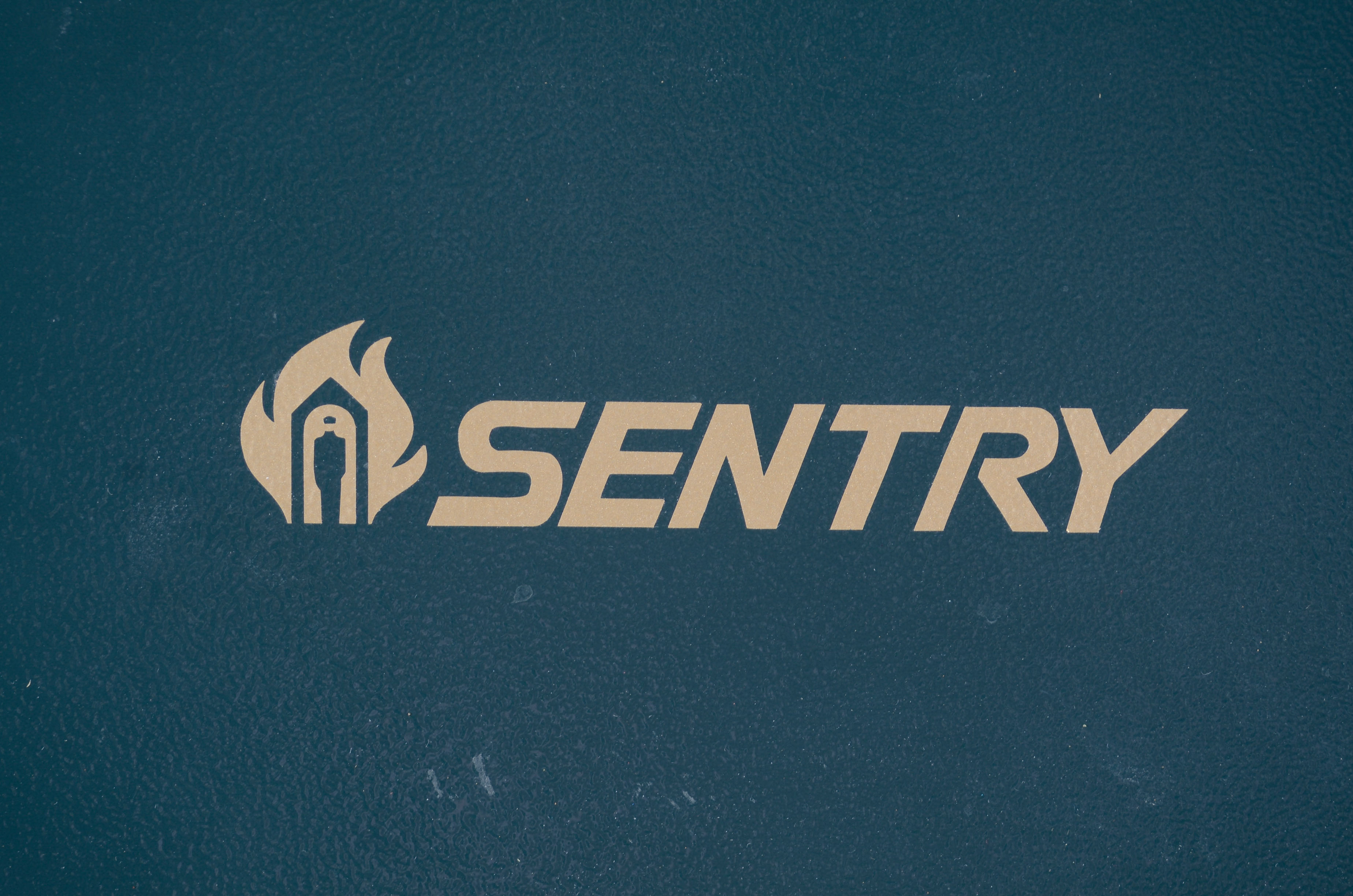 Sentry Gun Safe