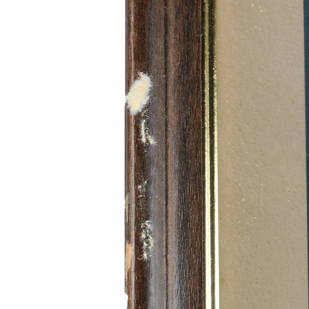 Mid 1960s Chromolithograph of John and Jackie Kennedy