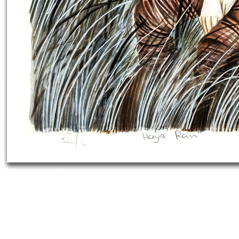 Haya Ran "Expectations" Signed Lithograph on Paper