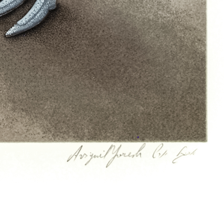 Avigail Yoresh "Expecting" Signed Lithograph on Paper