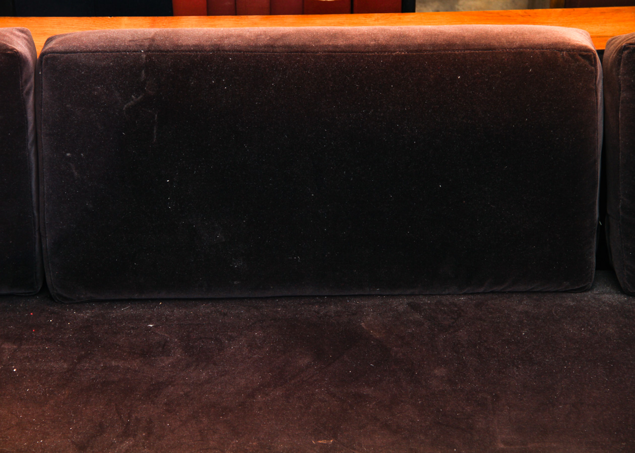 Milo Baughman for Thayer-Coggin Rosewood Veneered Case Sofa