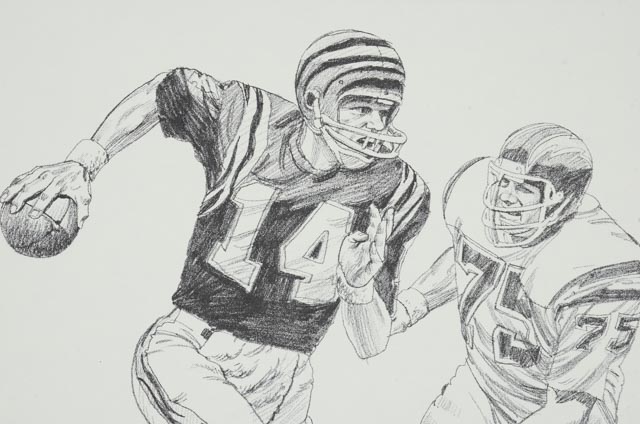 Sixteen 1981 Tanenbaum for Shell Oil Football Prints