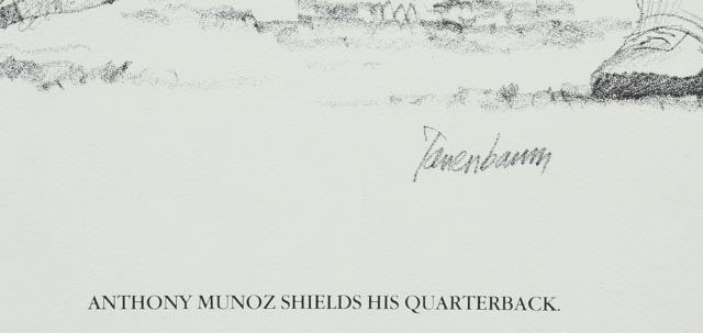 Sixteen 1981 Tanenbaum for Shell Oil Football Prints