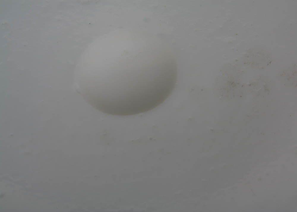 Hand Painted Opaque Milk Glass Dish with Ruffle Edge