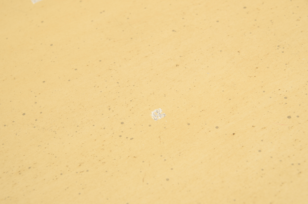 Small Distressed Basswood Trunk